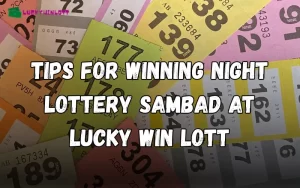 night lottery sambad