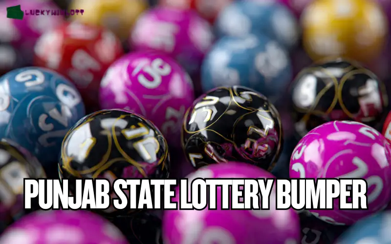 punjab state lottery bumper